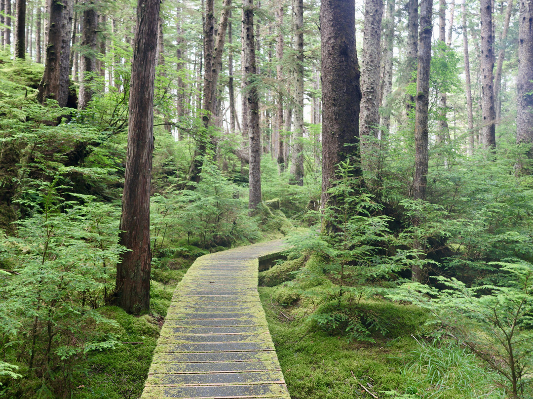 斯冈瓜伊(安东尼岛)-海达瓜(夏洛特皇后群岛)必去景点