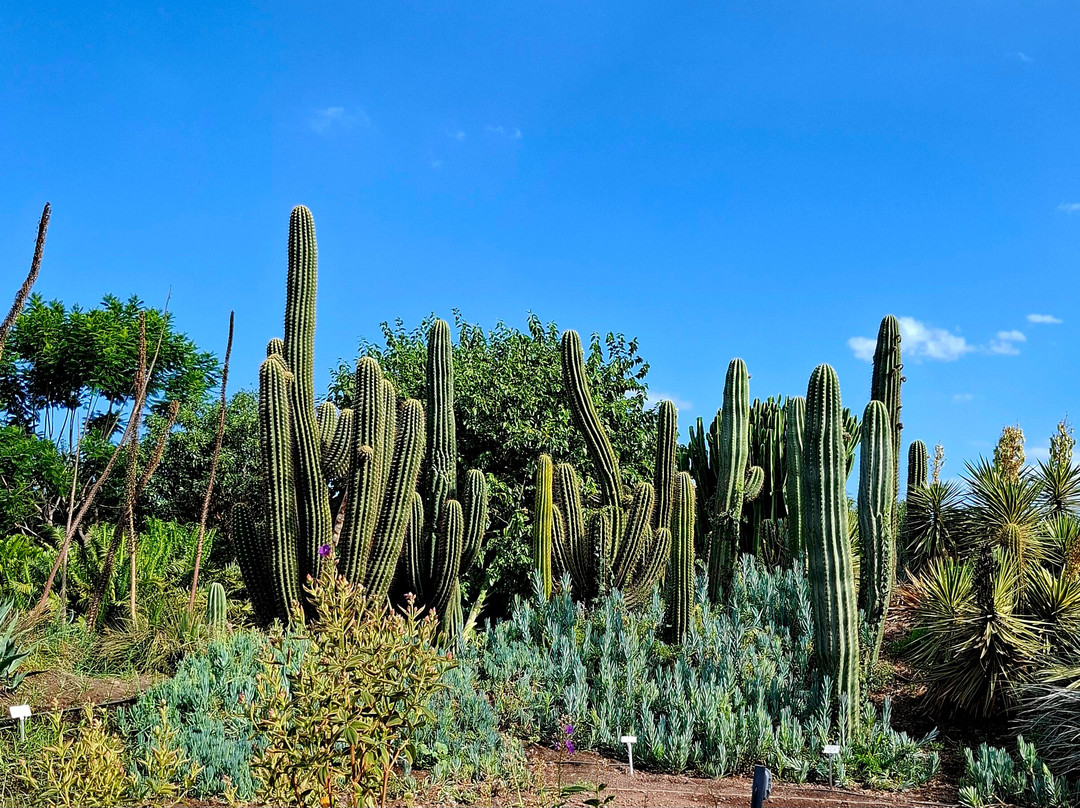 Radicepura-Giarre必去景点