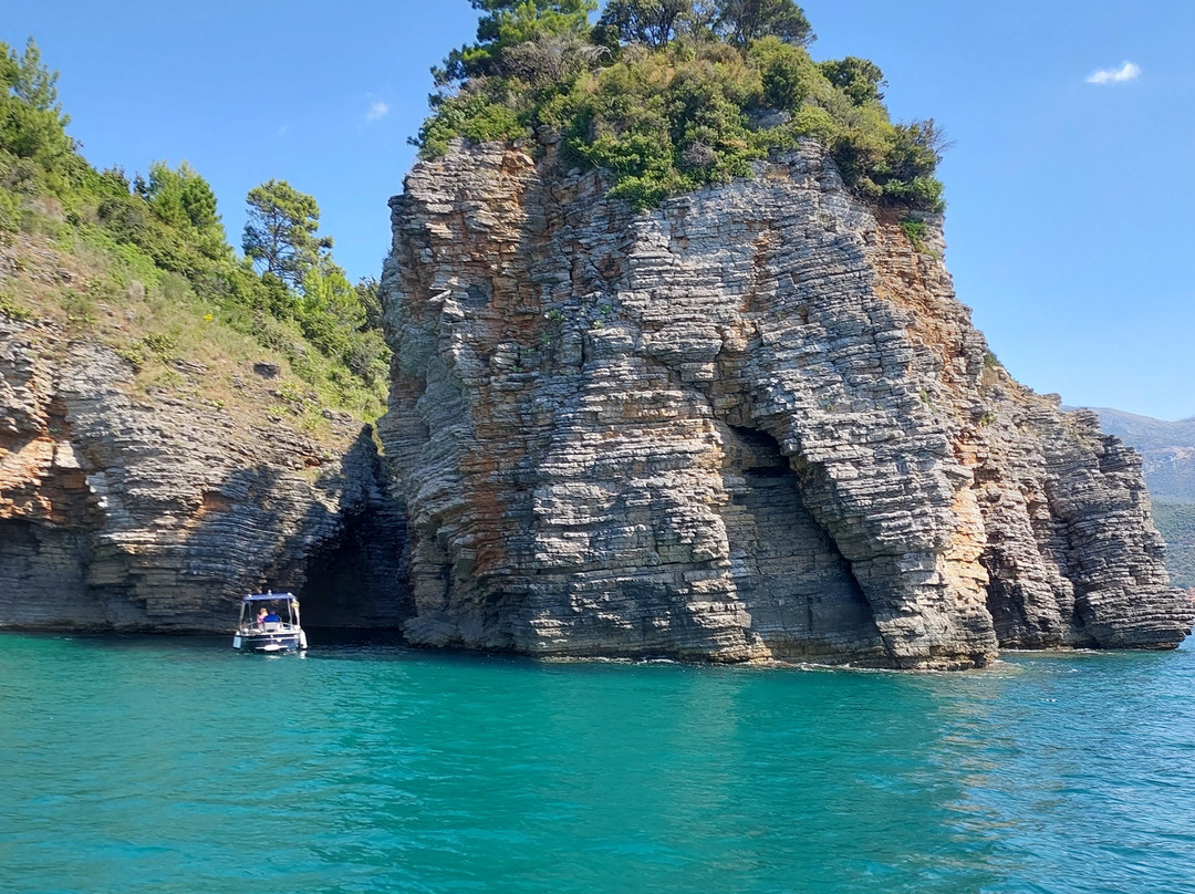 Hotel Villa Bojana主图