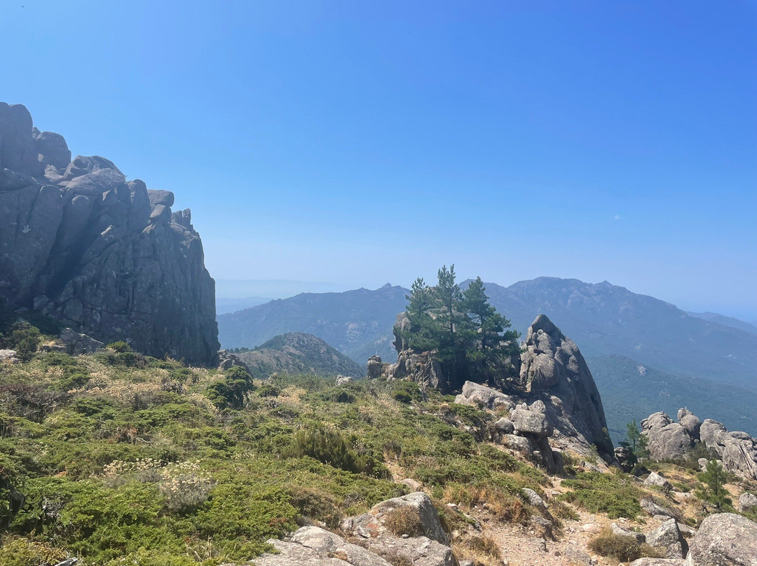 Foret de l'Ospedale-维琪奥港必去景点