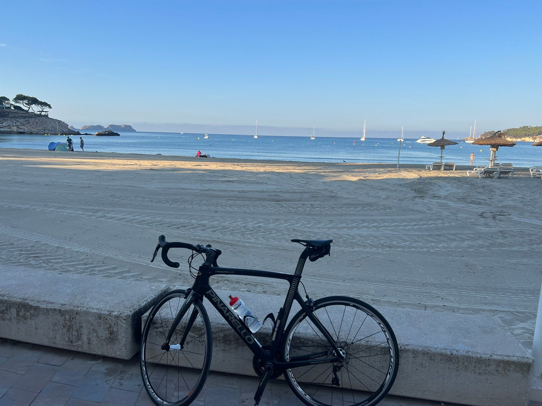 Why Not Cycling-Palmanova必去景点