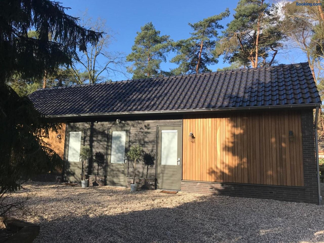 B&B ForRest