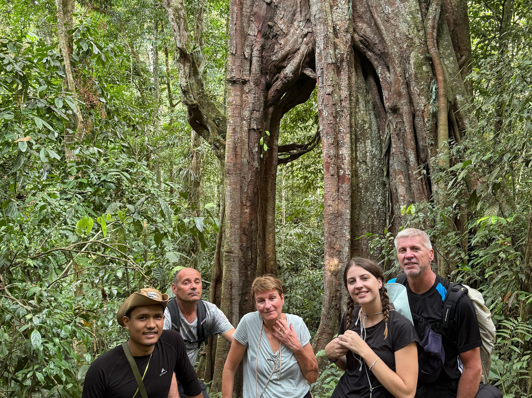 Local Jungle Trekking Guide-Ketambe必去景点