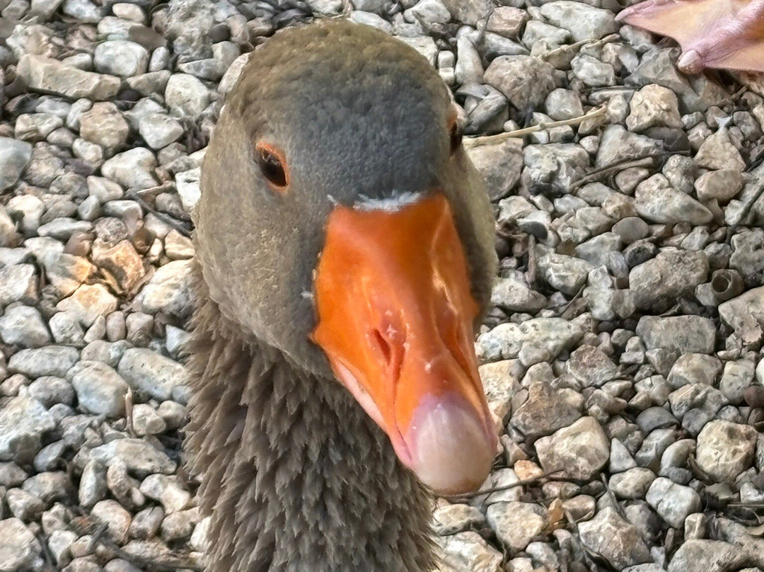 Odysseus Theme Park-萨米必去景点