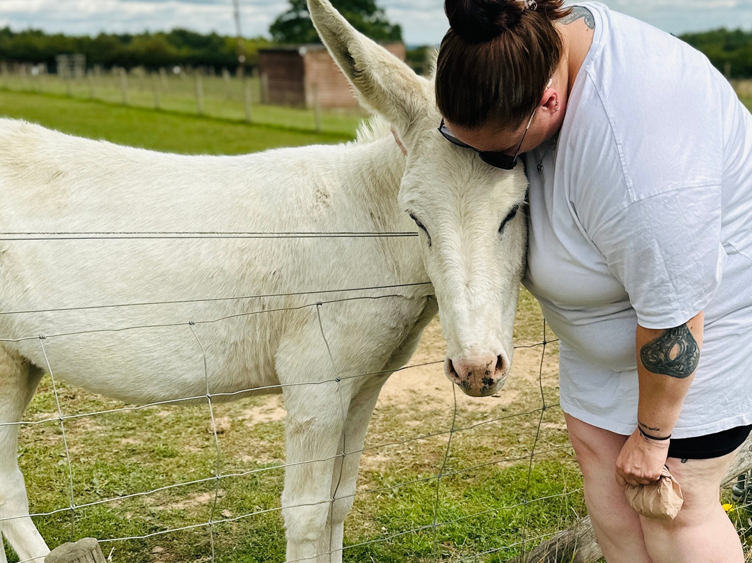 Melbourne Animal Farm-Melbourne必去景点