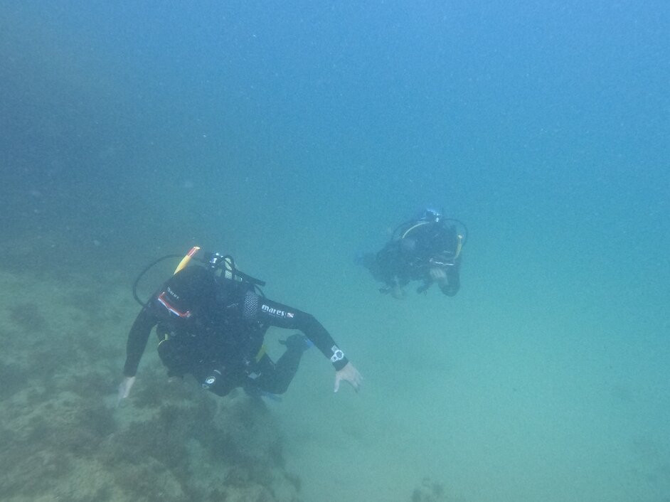 Arrábida Experiences-Setubal必去景点