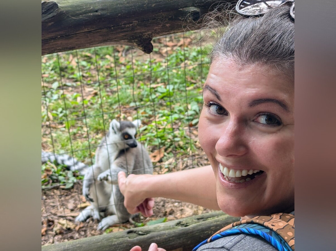 Kentucky Down Under Adventure Zoo-Horse Cave必去景点