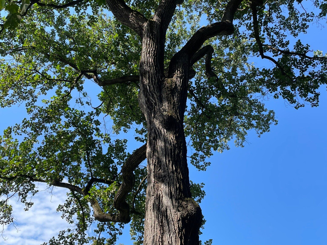 Locust Grove Estate-波基普西市必去景点