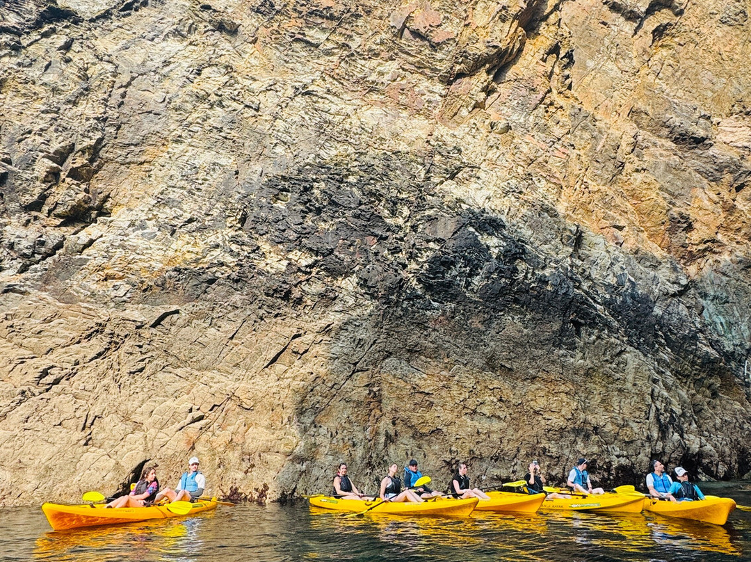 Koru Kayaking-St Agnes必去景点