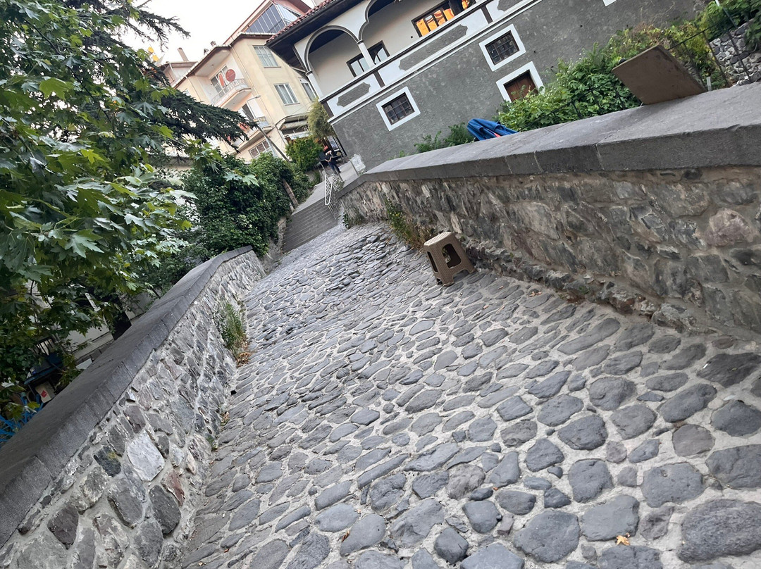 Leylekli Yılanlı Köprü-Niksar必去景点