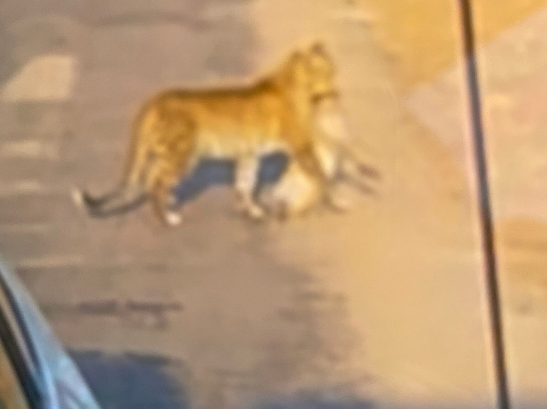 GAP Tours & Transfers-雾观必去景点