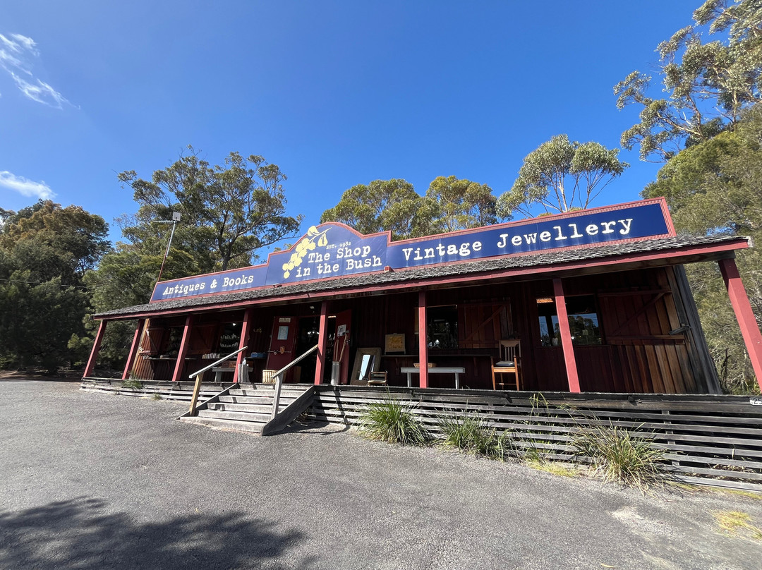 The Shop in the Bush-圣海伦火山必去景点