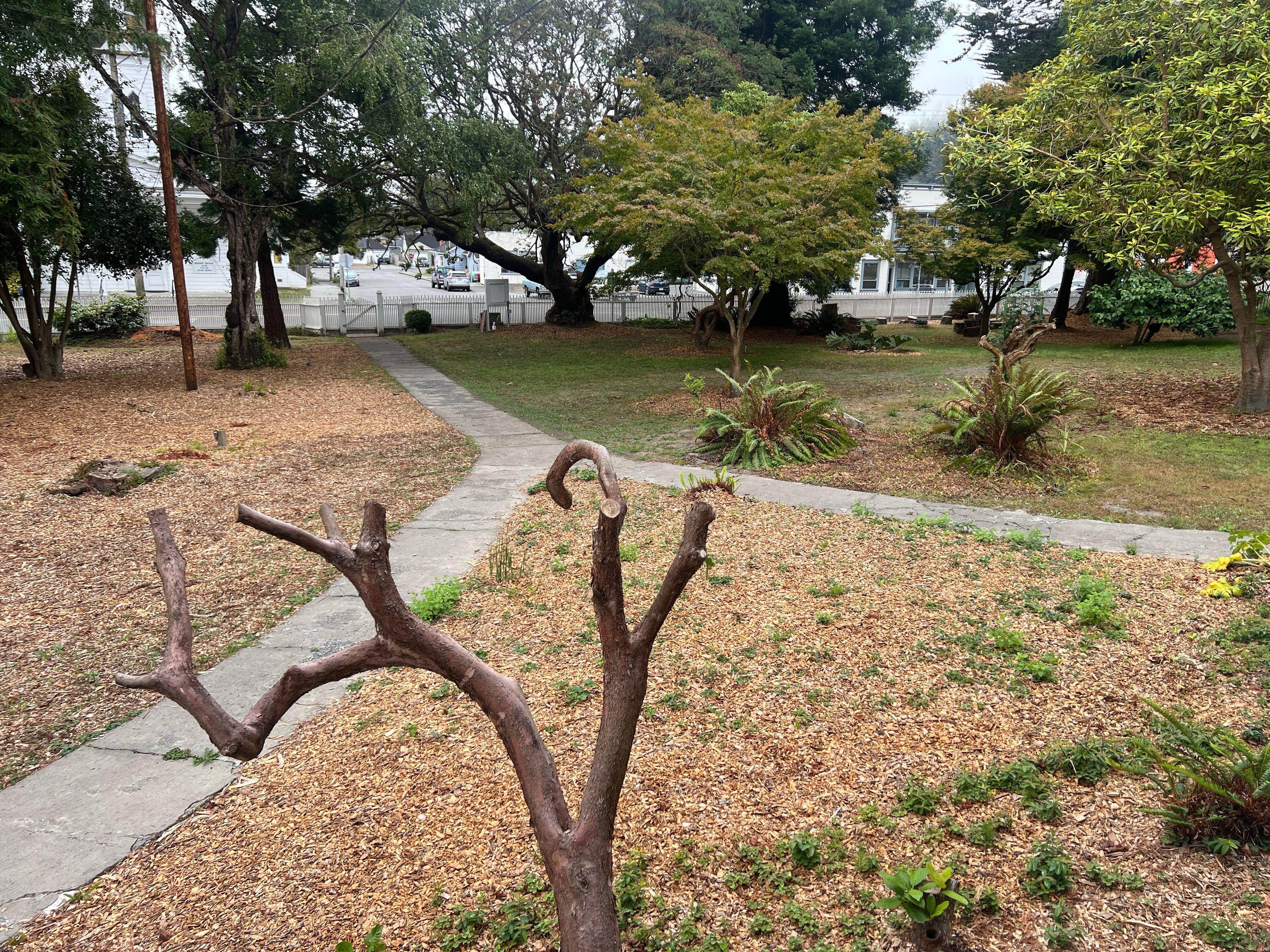 Shaw House Inn-浴室