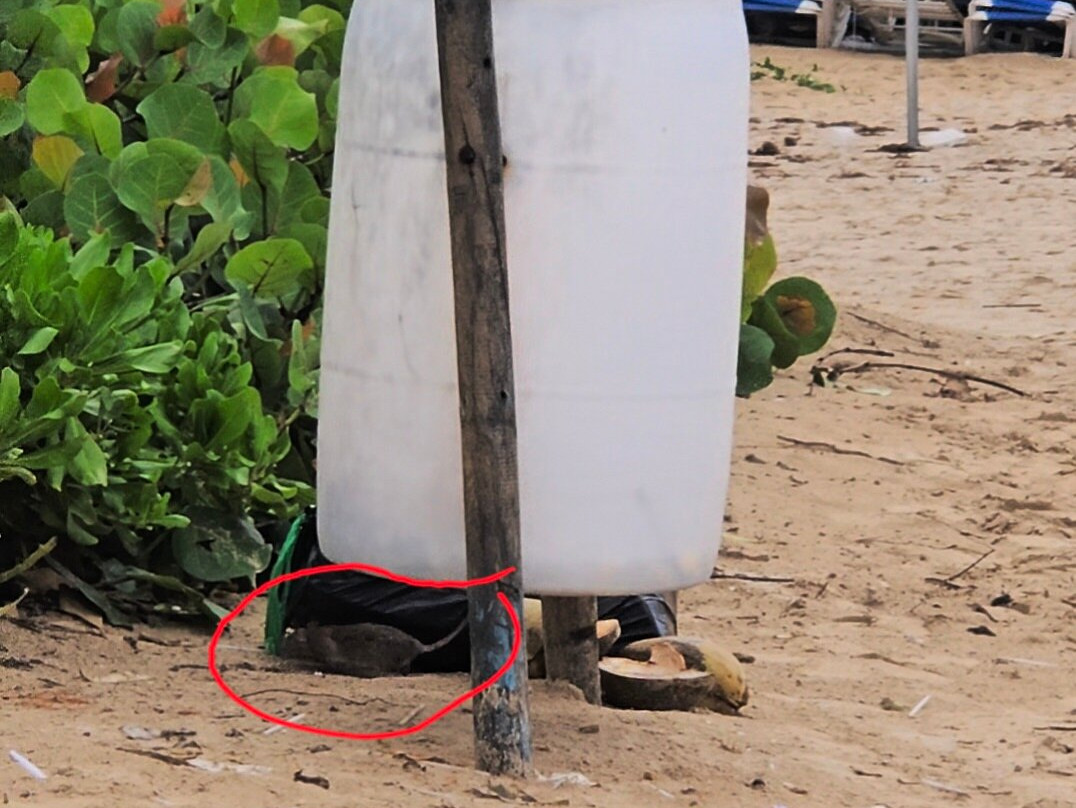 Condado Beach-圣胡安必去景点