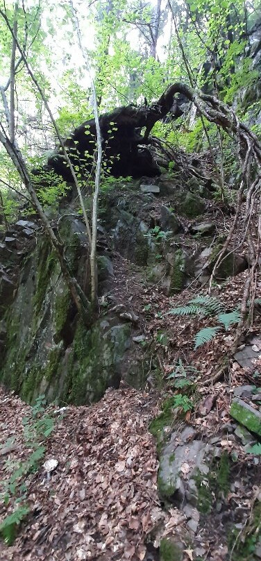 Cascata del Lupo-Bedollo必去景点