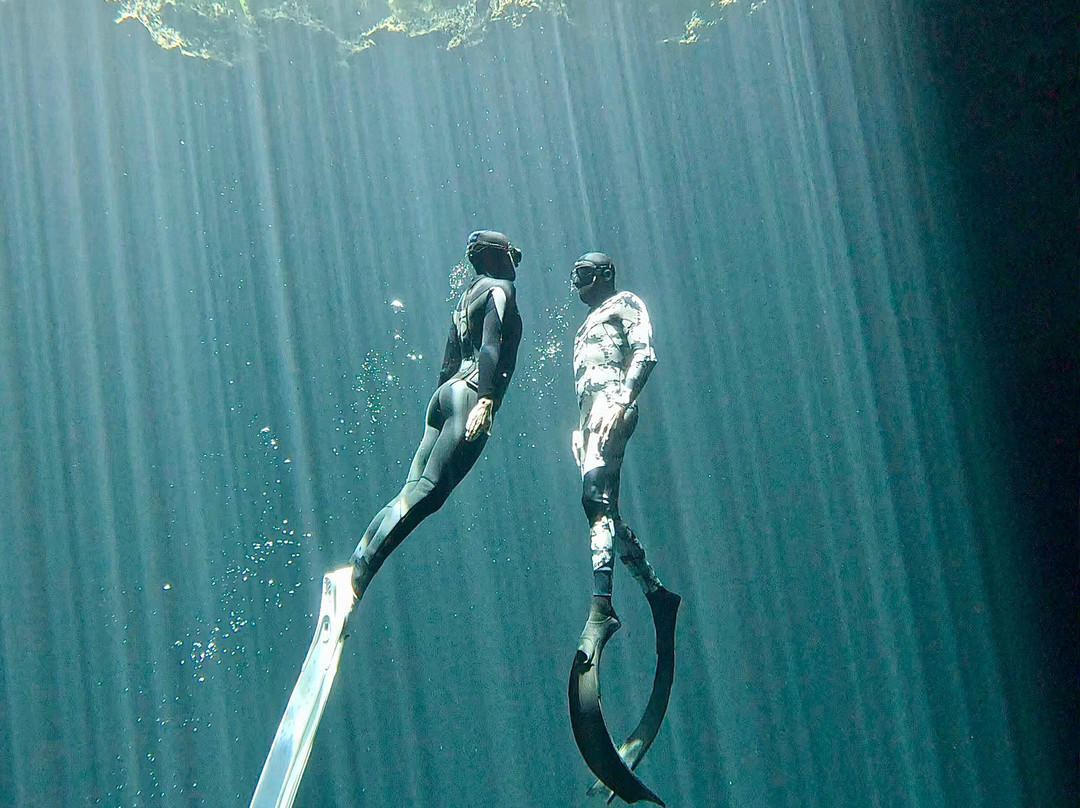 Freedivinglife Riviera Maya-普拉亚德尔卡曼必去景点