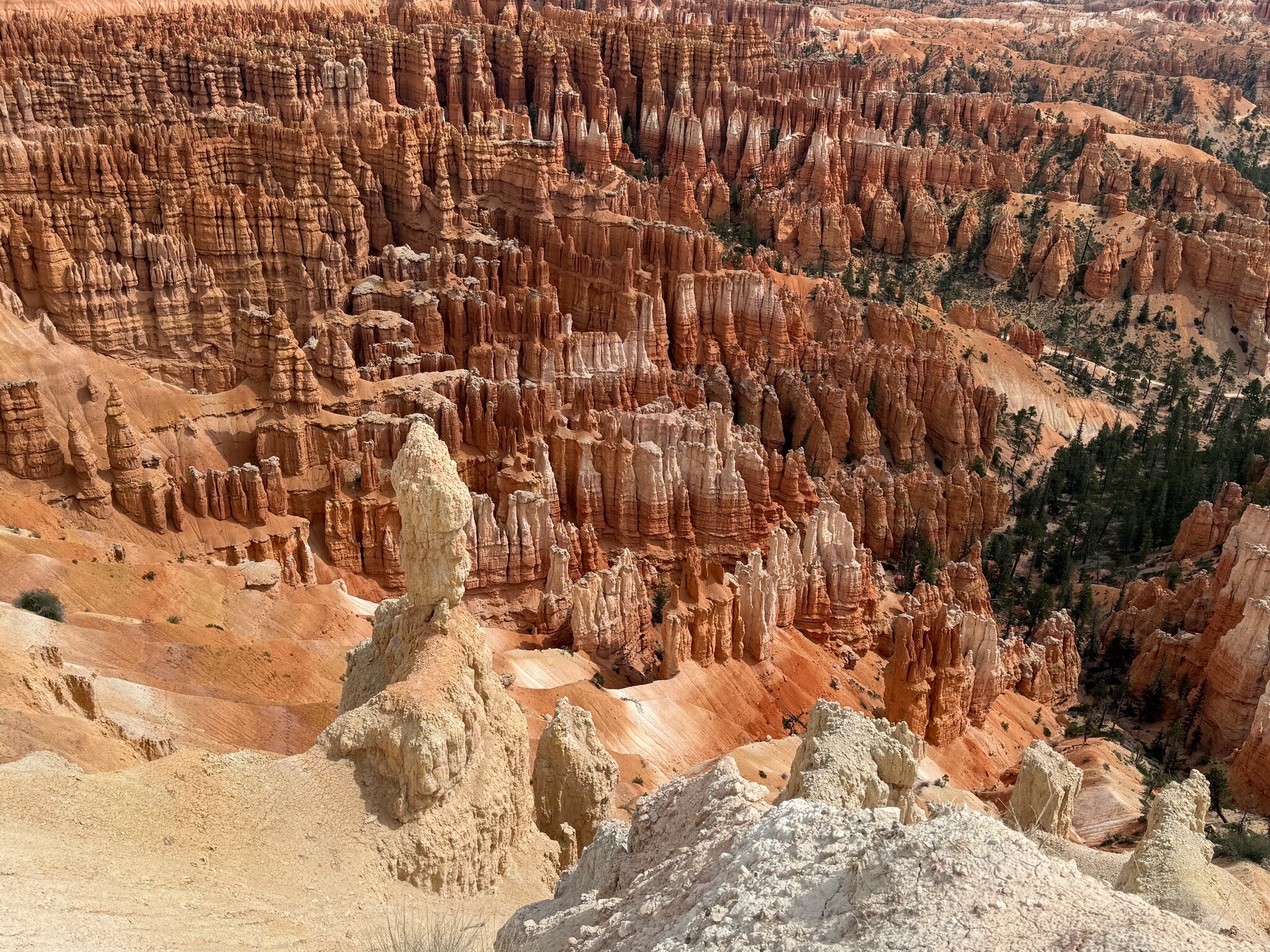 布莱斯维尤小屋酒店-官方