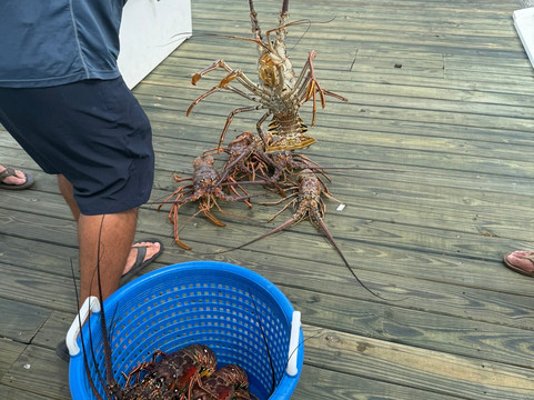 See & Ski Powerboat Rentals and Charters-圣 托马斯必去景点