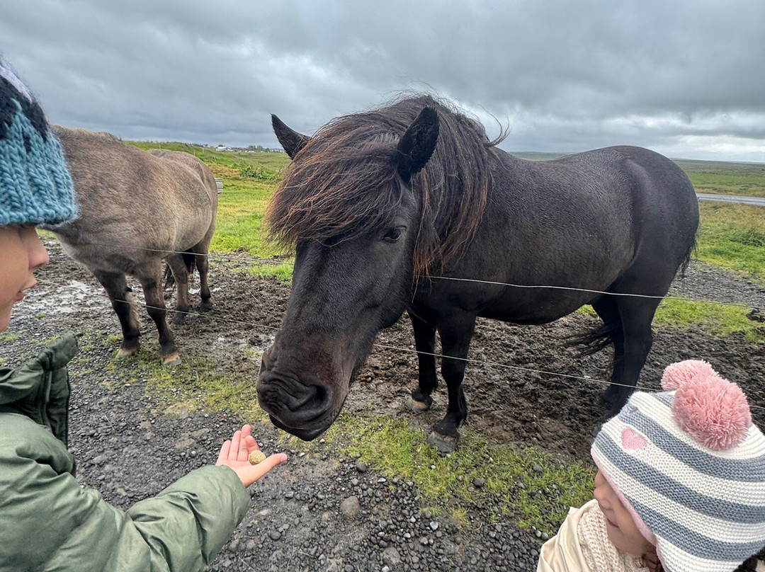 Golden Circle Taxi-雷克雅未克必去景点