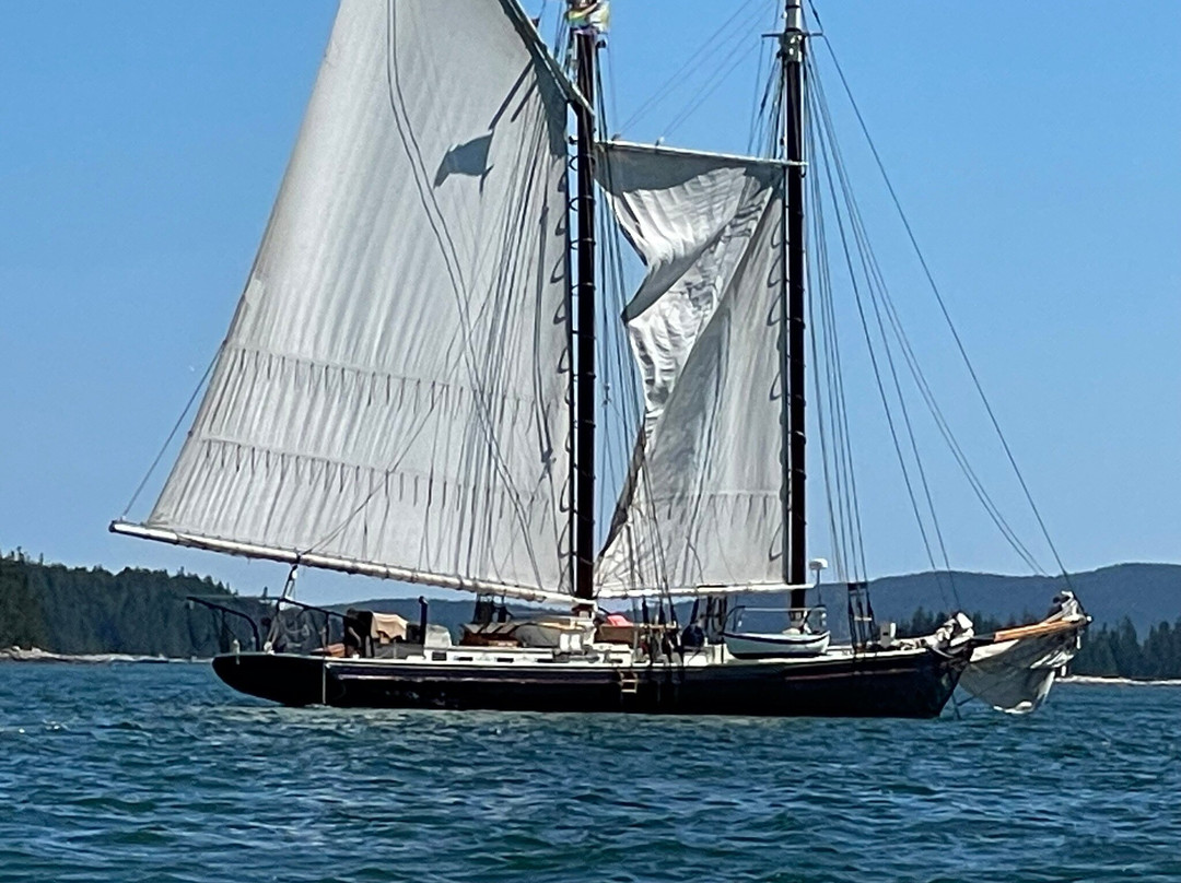 Schooner J. & E. Riggin Day Cruises-罗克兰必去景点