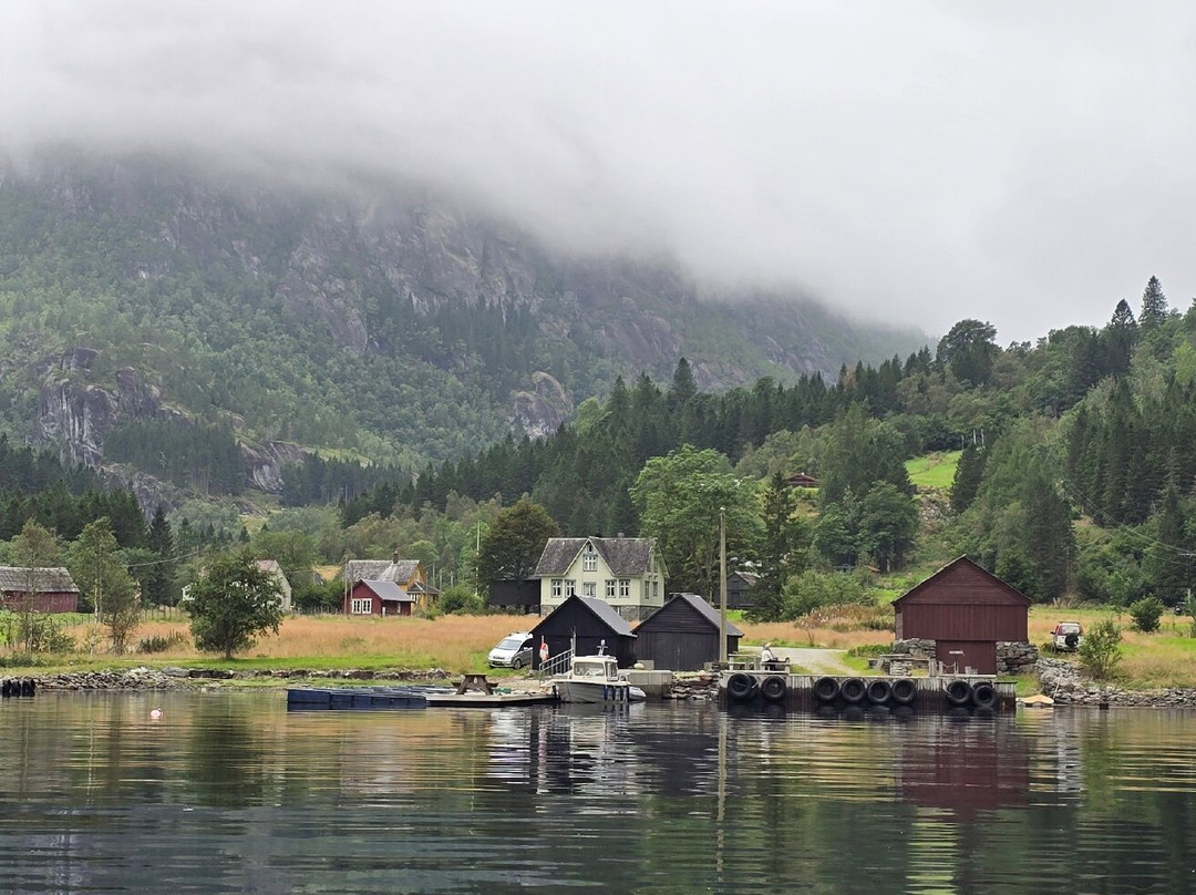 RIB safari Ulvik by Hardangerfjord Adventure-Ulvik必去景点