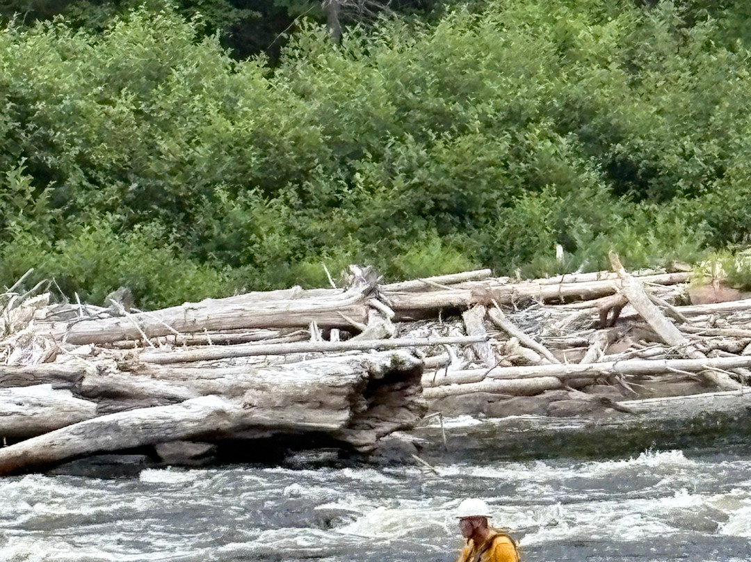 Esprit Whitewater Worldwide-Mansfield-et-Pontefract必去景点