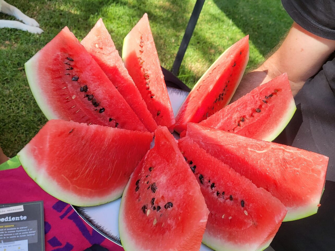 Hotel Rural San Giles主图