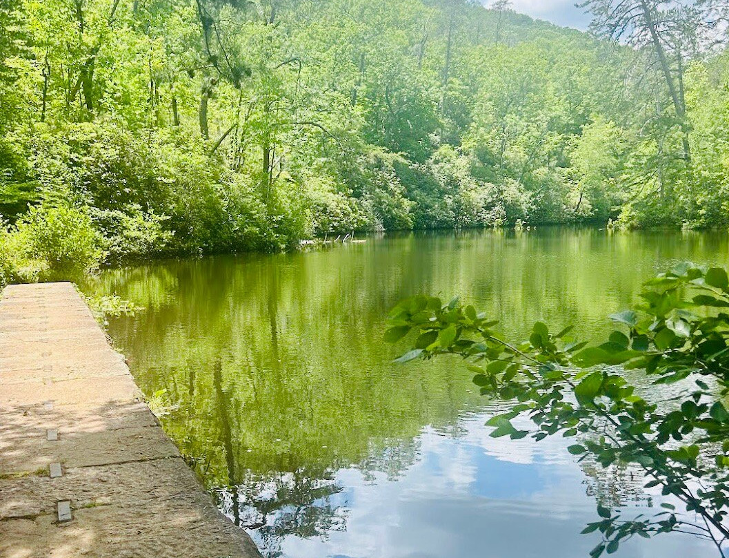 Paris Mountain State Park-格林维尔必去景点