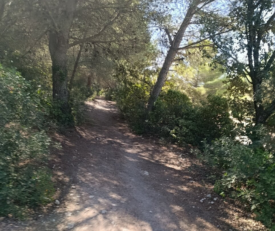 Promenade A Cheval Des Aresquiers-Vic-la-Gardiole必去景点