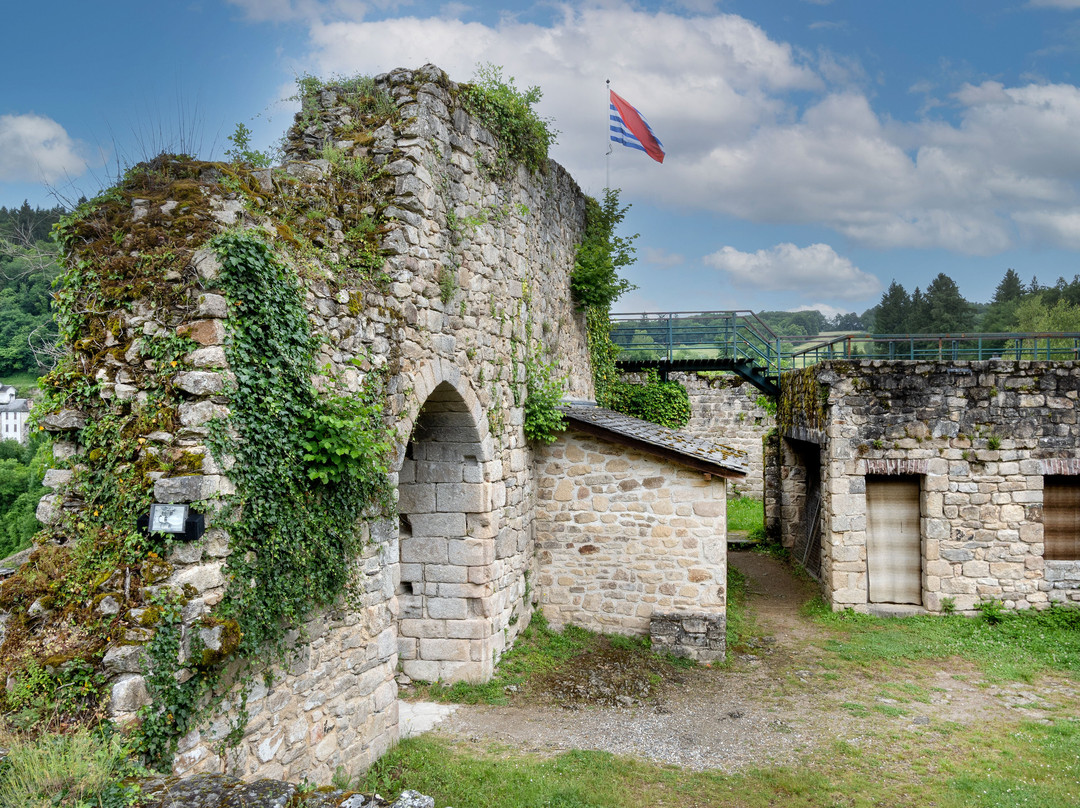 Ruines Château De La Roche Haute