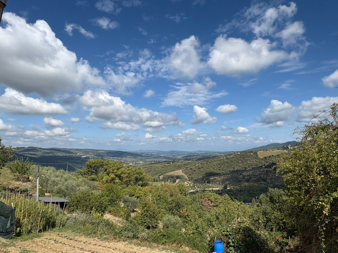 Discovery Chianti-格雷韦伊恩基亚恩蒂必去景点