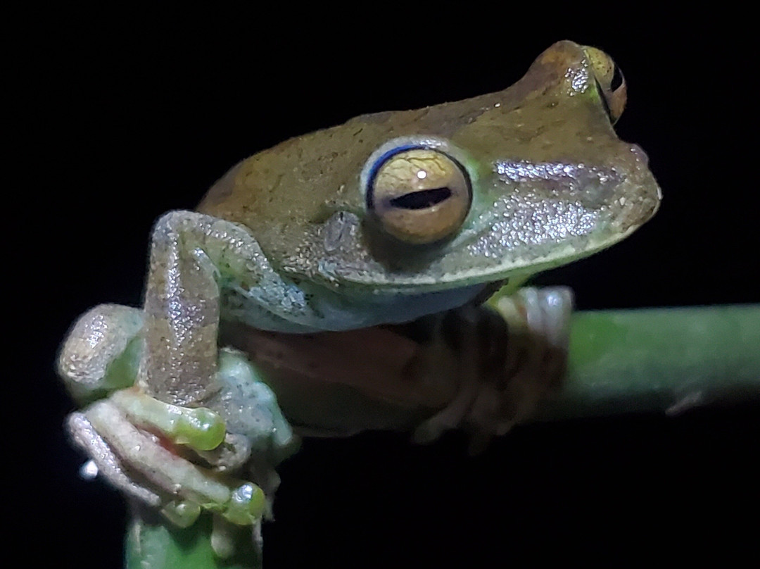 Royer Tours Mindo-明多必去景点