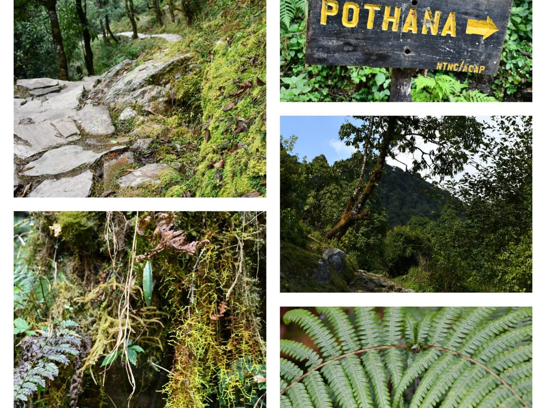 Adventure Nation Treks Nepal-博卡拉必去景点