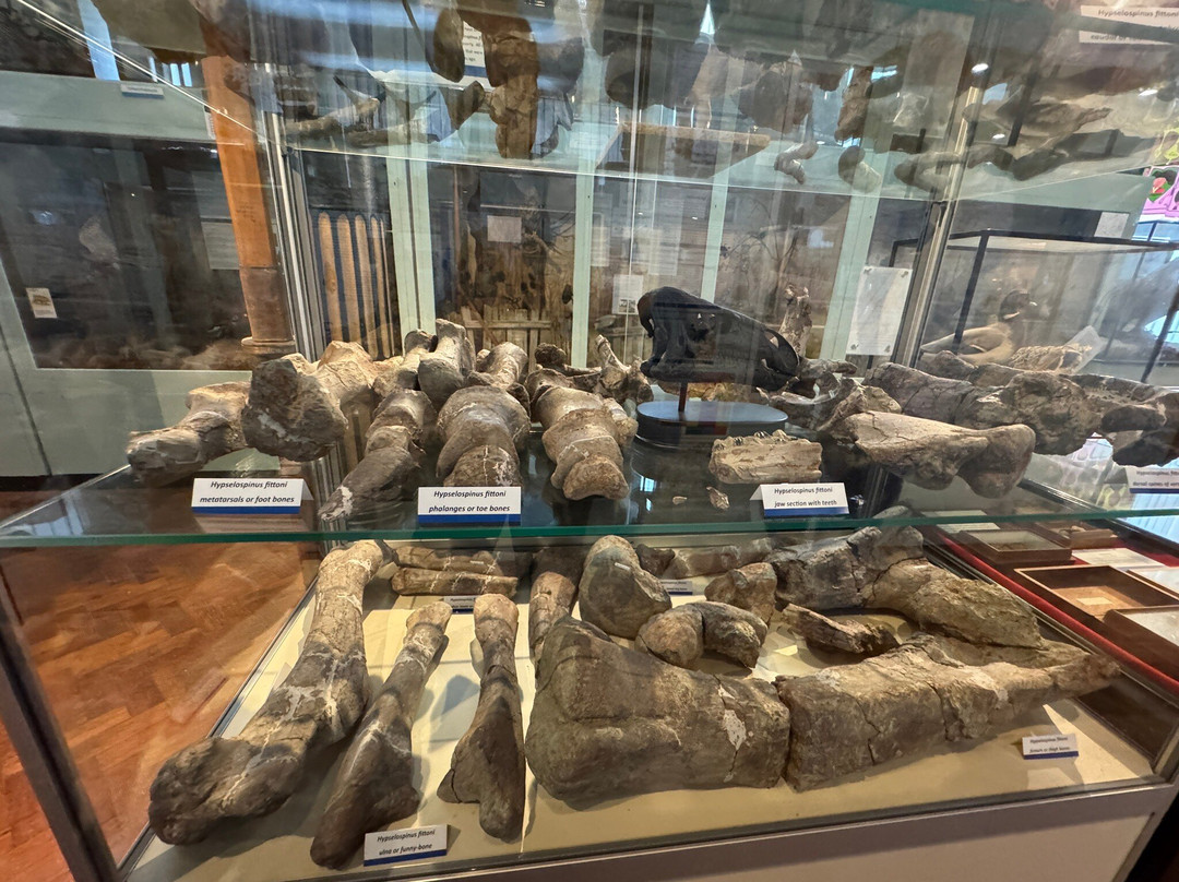 Bexhill Museum-Bexhill-on-Sea必去景点