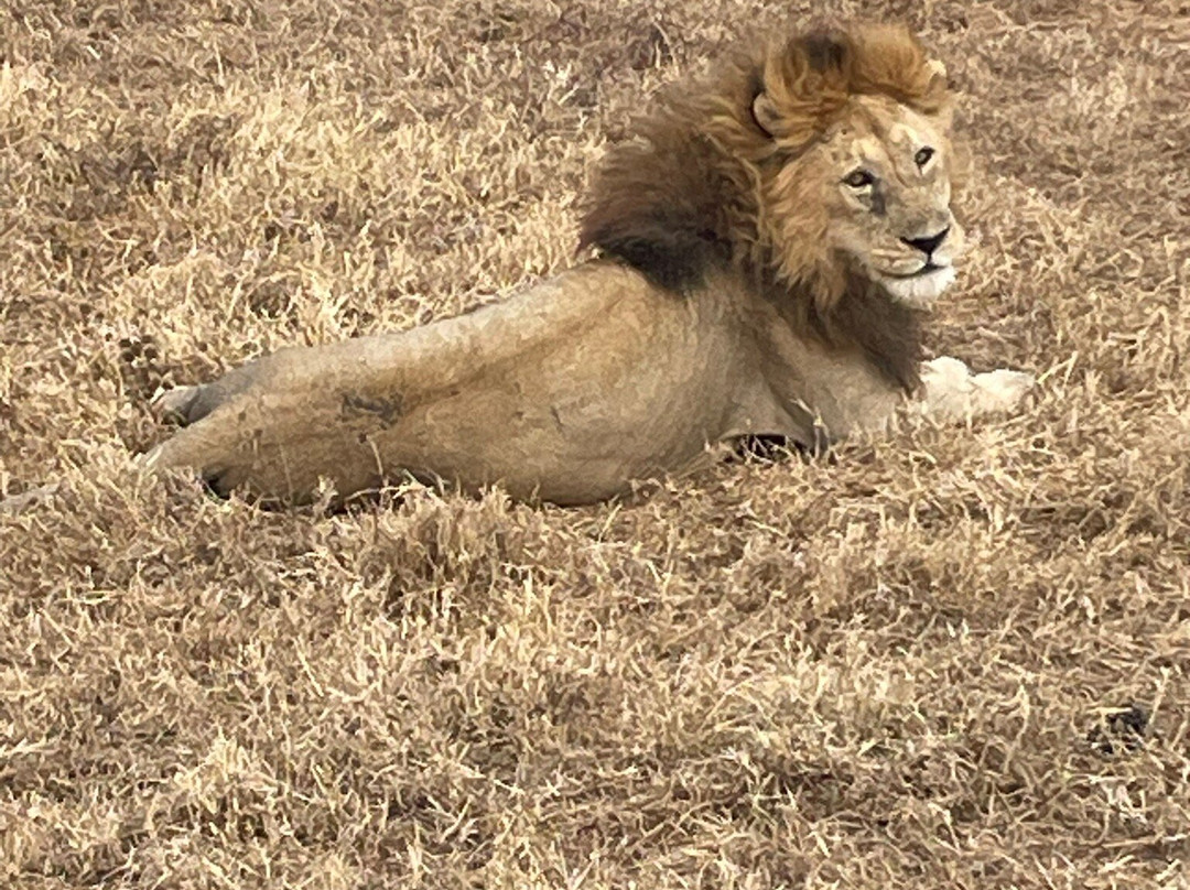 Brilliant Adventures & Safaris-阿鲁沙必去景点