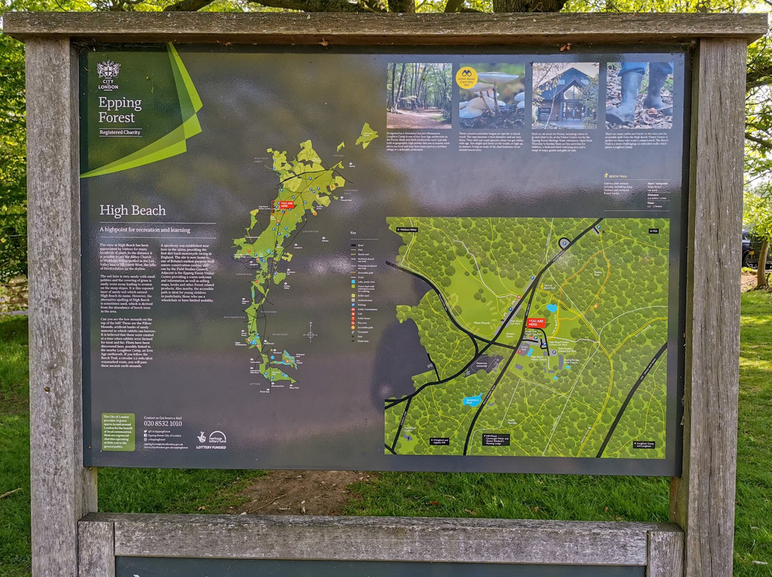 High Beach Beauty Spot-Loughton必去景点