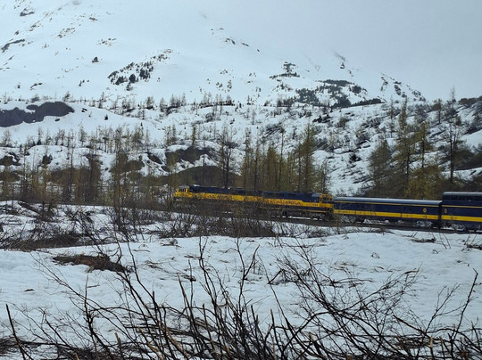 Alaska Coastal Explorer-苏厄德必去景点
