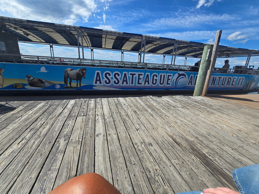 Assateague Adventure-大洋城必去景点