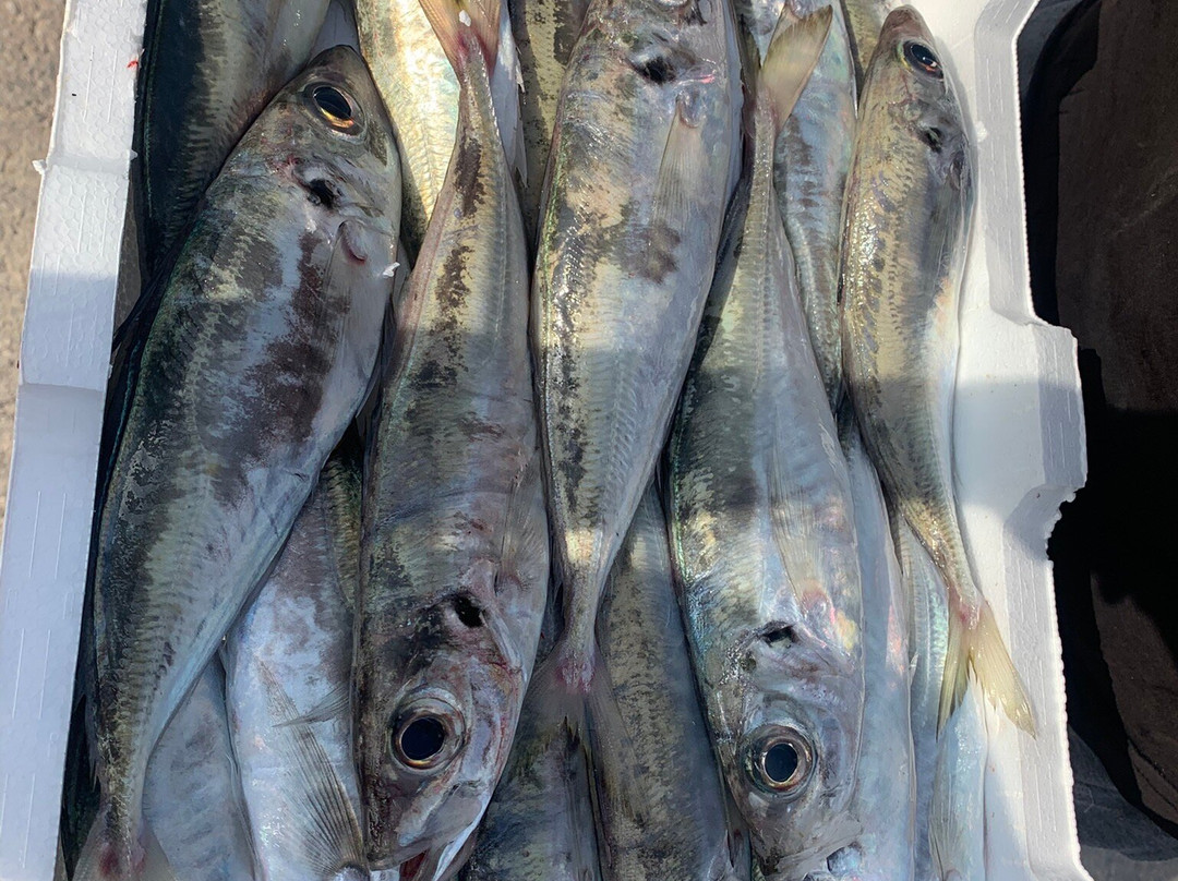 Mercato del Pesce-Sciacca必去景点