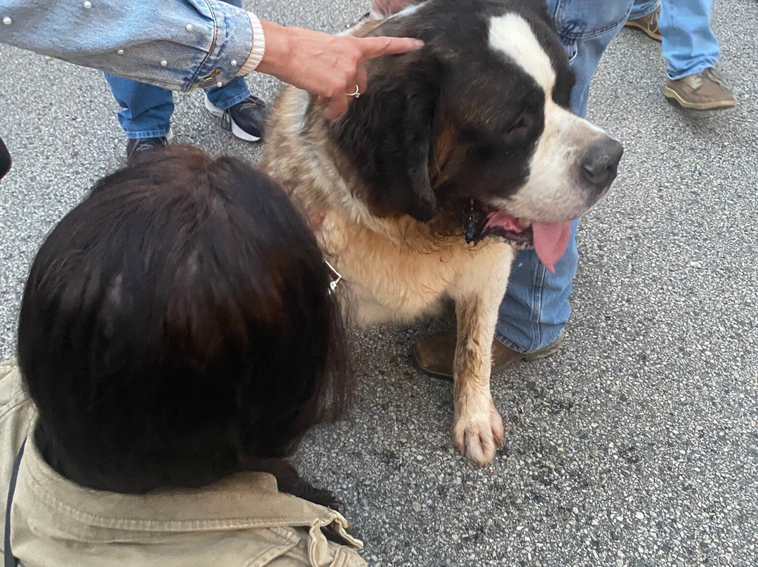 The Clarke Hotel主图