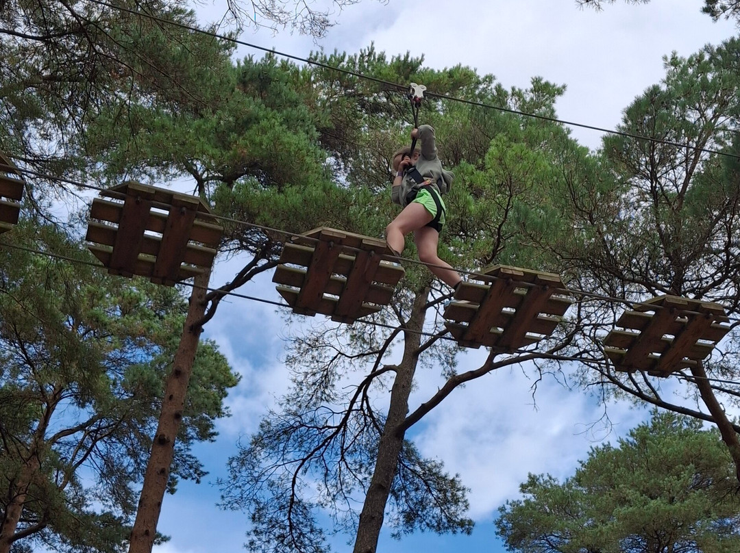Go Ape Haldon Forest Park-埃克塞特必去景点
