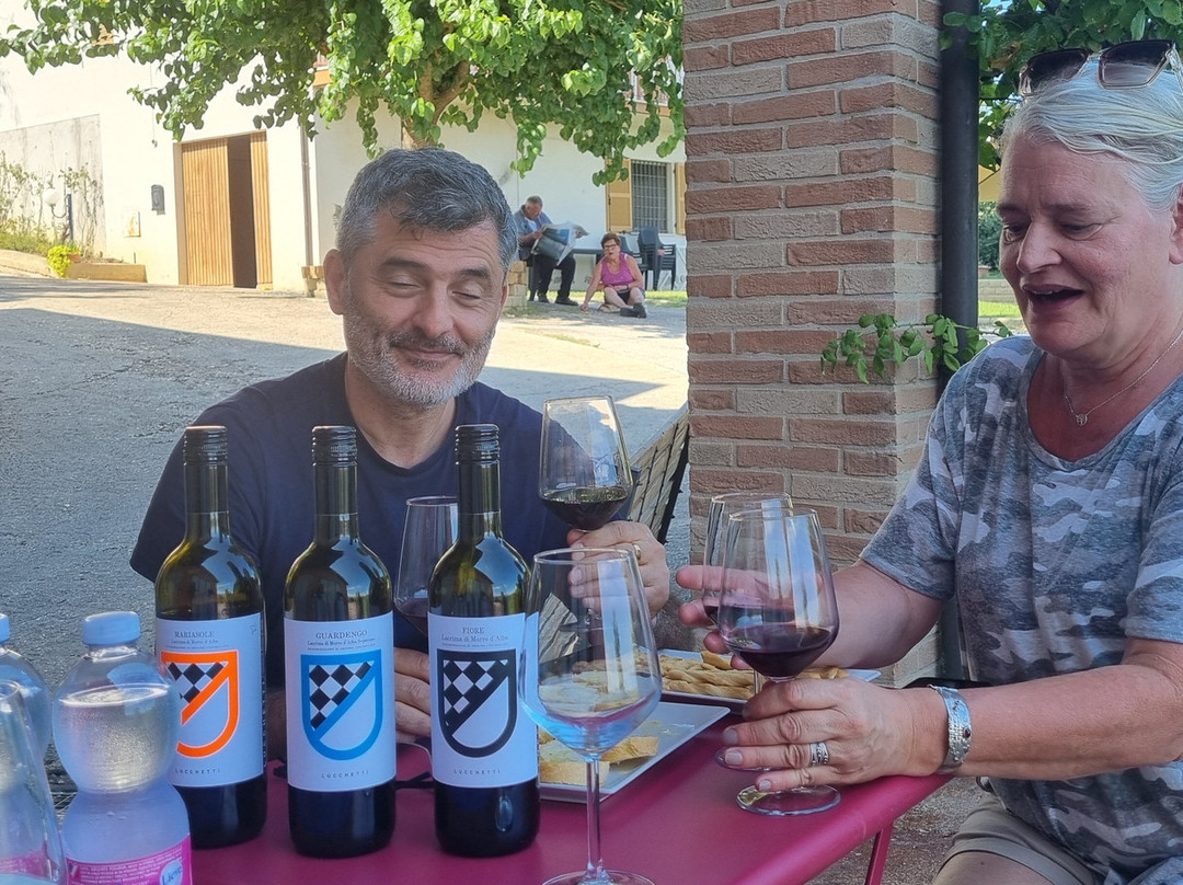 Azienda Agricola Mario Lucchetti-Morro d'Alba必去景点