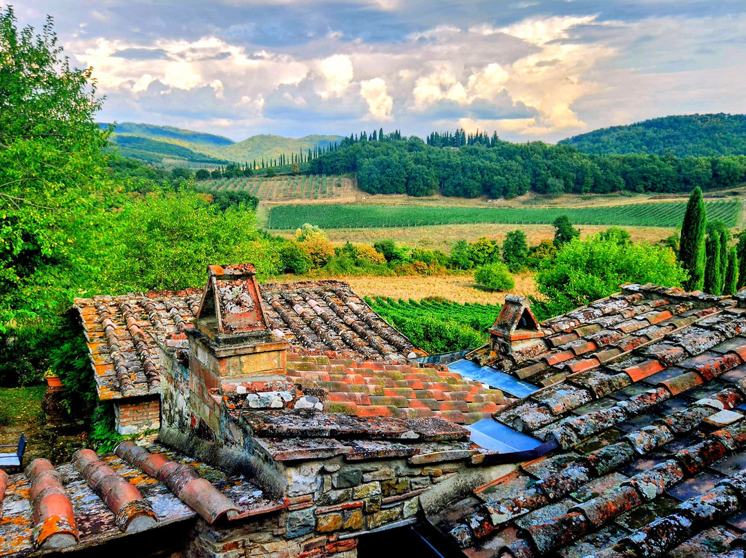 Podere Terreno Alla Via Della Volpaia主图