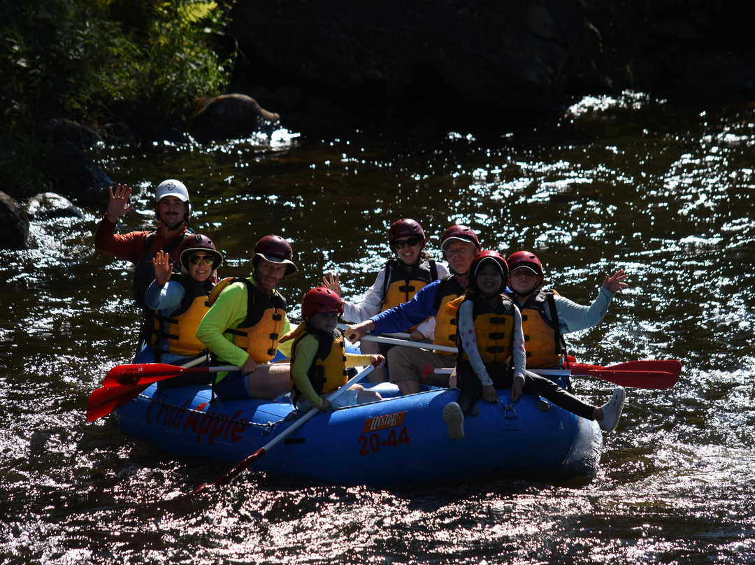 Crab Apple Whitewater-The Forks必去景点