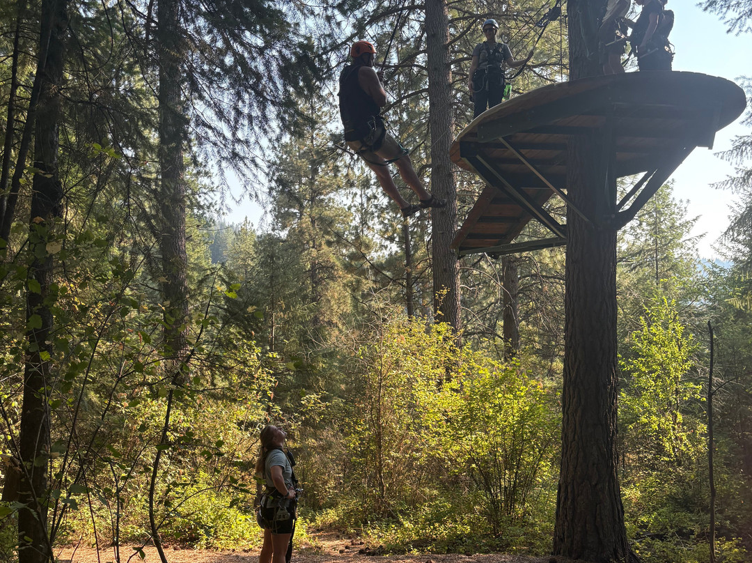 Timberline Adventures-科达伦必去景点
