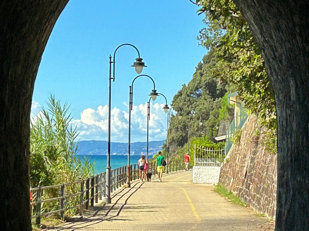 Rent a bike riviera Ligure-Arenzano必去景点