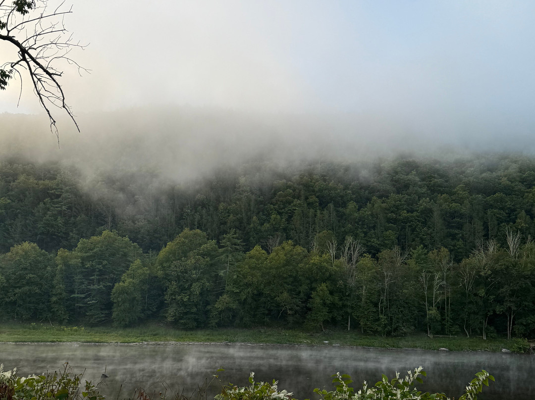 Landers River Trips-Narrowsburg必去景点