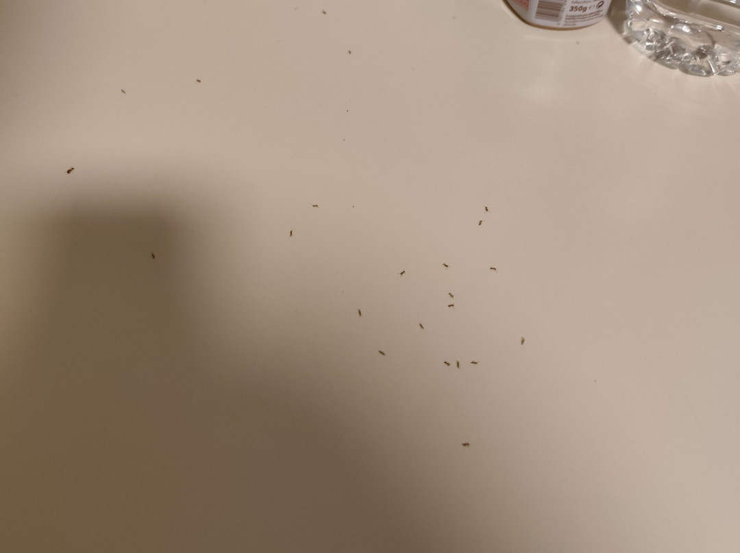 Carisa Maleme Hotel主图