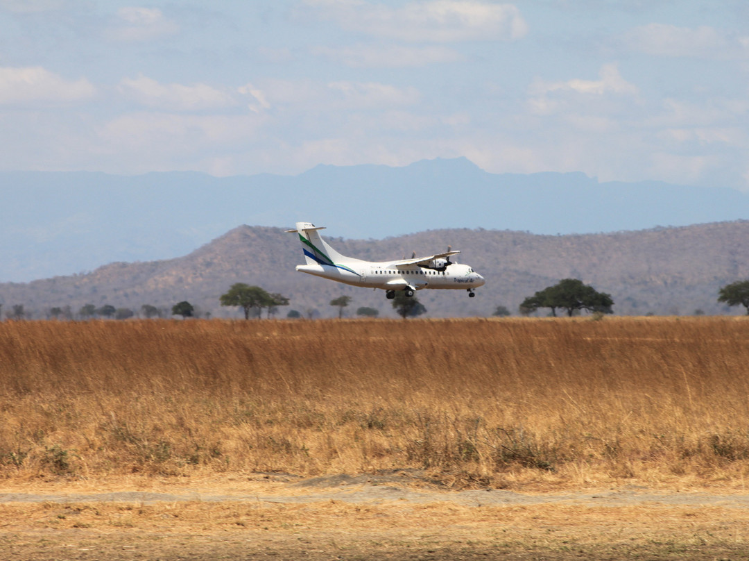 Africalife Tours and Safaris.-莫西必去景点