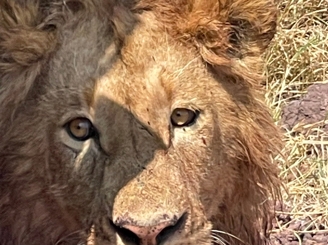 Sound Of Tanzania Explores-阿鲁沙必去景点